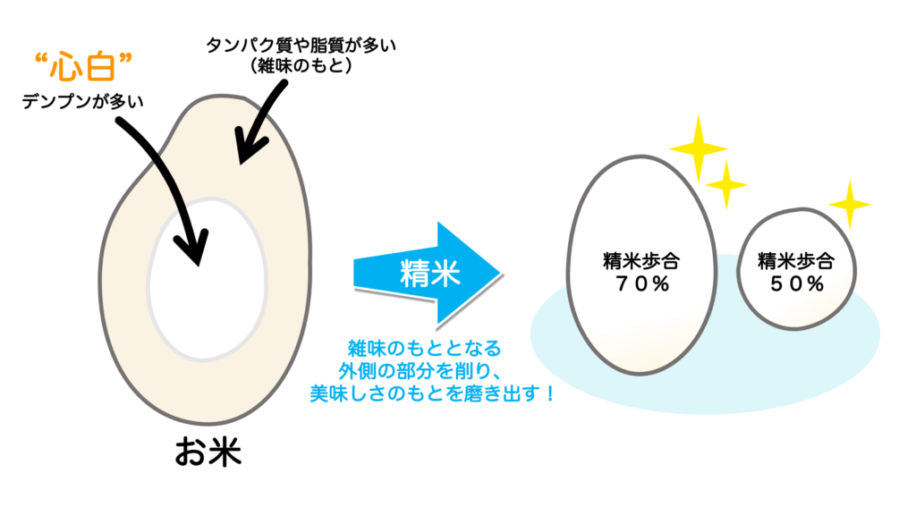 酒米の特徴、心白の説明の図