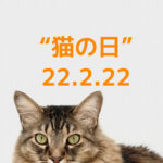 Read more about the article 猫の日、日本酒ネコラベル